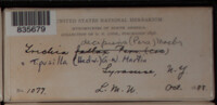 Image Associated With the Occurence
